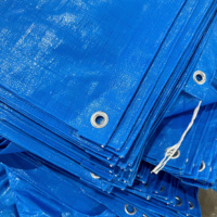 Bâche robuste bleue imperméable, écologique, coupe-vent, anti-UV, grande capacité, en rouleau, options de couleur et de taille, pour bassin à poissons