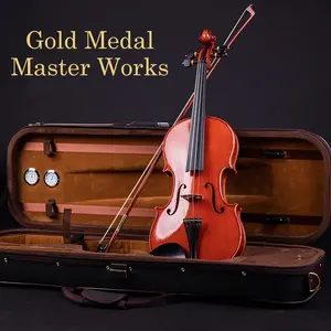 <span class=keywords><strong>Stradivari</strong></span> master <span class=keywords><strong>violon</strong></span> personnalisé de haute qualité 4/4 - Product Image 1