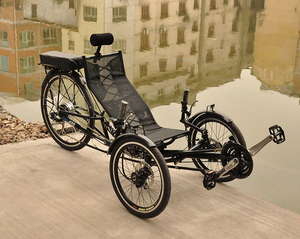 Tricycle électrique à trois <span class=keywords><strong>roues</strong></span> avec moteur arrière de 20 pouces, 36V12Ah, 350W, vélo électrique à trois <span class=keywords><strong>roues</strong></span> - Product Image 1