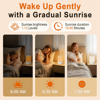 Réveil personnalisé avec bruit blanc IBN, générateur de sons naturels, fonction snooze, simulation du lever/coucher du soleil, aide au sommeil 24H