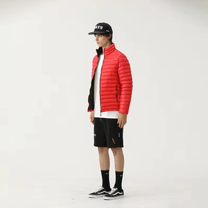 Fabrieksprijs Op Maat Voor Heren Gans Windjack Opstaande Kraag 100% Nylon Donsbestendige Voeringstof Voor Winterjassen - Product Image 3