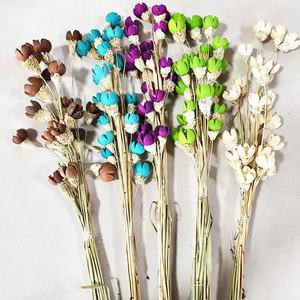 Flores Secas Naturales de Nivel A al por Mayor, Fruta Feliz Preservada, Personalización en un Solo Paso para Celebraciones en el Hogar, Regalos de Ramo de Pistachos - Product Image 4