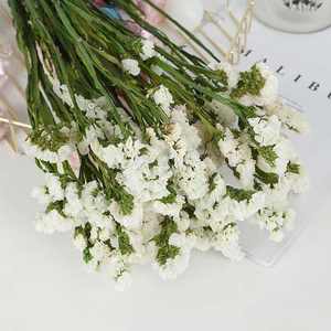 ขายส่งดอกไม้แห้งติดทนนาน <span class=keywords><strong>Limonium</strong></span> ลืมฉันไม่ Myosotis สำหรับตกแต่งงานแต่งงาน - Product Image 3