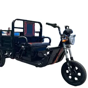 High-power Electric Enclosed Cargo Trike Adult Electric 3 Wheel Cargo Tricycle