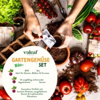Kit de légumes biologiques de 14 pièces de haute qualité avec pot de fleur de conception animale pour la maison jardin cuisine extérieure utilisation suspendue de bureau