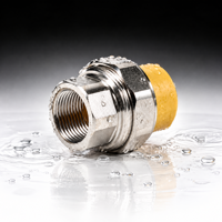 Raccord de tuyauterie en acier inoxydable PPR, connecteur à fusion thermique pour l'alimentation en eau chaude et froide