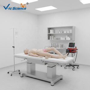 Maniquí de Enfermería de Ciencias Médicas, Nuevo Estilo, Muñeco Masculino para Entrenamiento de Enfermería, Muñecos de Enseñanza Médica, Modelo Educativo - Product Image 2