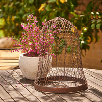Cloche de jardin en métal ronde de 48 cm de hauteur, protecteur de plantes, dôme, cage en fil métallique pour fleurs et légumes