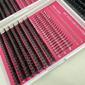DIY Eyelash Extension <b>Kit</b> Fluffy Cluster <b>Lashes</b> Bottom Spike Fan <b>Lash</b> Supplies - Product Image 5