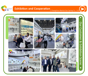 Cấp giấy chứng nhận OEM Heavy-Duty gas strut Damper cho xe tải Pickup, 1200n lực lượng chịu được thời tiết khắc nghiệt 100,000 chu kỳ tuổi thọ - Product Image 5