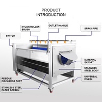 Elektrische Industriële Palm Dadelwasmachine Groenteborstelroller Wasmachine