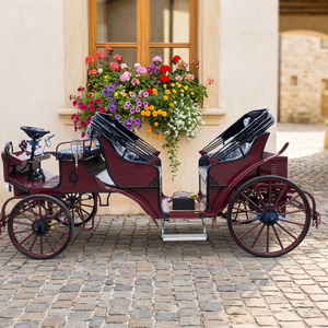 Chariot de balade à chevaux Cendrillon magnifique, très demandé, pour mariage, décoration extérieure de Noël, capacité 4-6 personnes - Product Image 1
