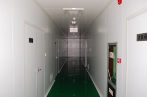 <span class=keywords><strong>Extracto</strong></span> <span class=keywords><strong>de</strong></span> <span class=keywords><strong>Centella</strong></span> Asiatica gotu kola polvo Asiaticoside 90% - Product Image 3