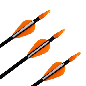 27 "od7.9mm 2inch Nhựa vanes sợi thủy tinh mũi tên Thanh Niên bắn cung recurve cung cố định Bullet Mẹo chụp mục tiêu thực hành - Product Image 3