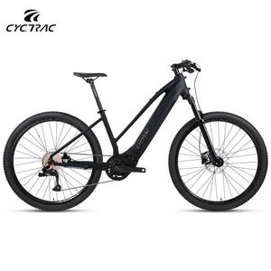 Bicicleta Eléctrica Económica para Adultos con Motor de 48V250W de Transmisión Media y 10 Velocidades, la <span class=keywords><strong>Mejor</strong></span> Oferta en Venta - Product Image 1