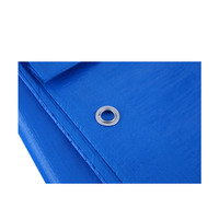 Bâche en polyéthylène légère 12x12, imperméable, unie bleue/verte/argentée, très résistante pour usage extérieur et automobile sur le marché du Myanmar