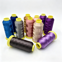Çöl Renkleri Yüksek Dayanımlı Merserize %100 Polyester Filament Nakış İpliği 108D/2 Dikiş ve Tığ İşi İçin