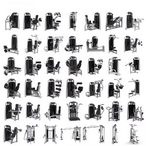 Gimnasio de 800 m² con Equipo Completo de Musculación, Máquinas Comerciales de Entrenamiento de Fuerza y Cardio para Hoteles, Clubes y Gimnasios - Product Image 1