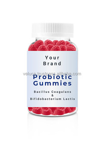 OEM Marque privée Bacillus coagulans et Bifidobacterium Lactis Bonbons gommeux probiotiques Premier fournisseur américain pour adultes - Product Image 4