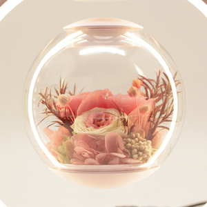 Từ bay lên vĩnh cửu Hoa Đêm ánh sáng sáng tạo trang trí nội thất trang trí ngày Valentine quà tặng hoa nổi - Product Image 4