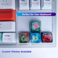 Custom Keyboard CNC Machining Injection Molding Keycaps for Double Anodized Aluminum with Hellcat/Tiger/Reaper/Jump Man Logo