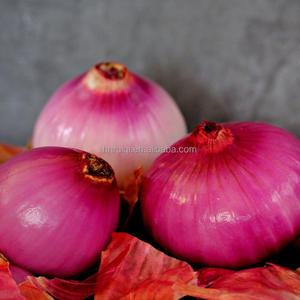 Groothandel Verse Gele Ui Grote Uien Grote Rode Uien Beschikbaar Voor Exportverkoop - Product Image 5