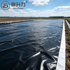 Membrane composite HDPE WSL, un géotextile et un <span class=keywords><strong>film</strong></span> pour aménagement paysager, anti-infiltration, géosynthétique agricole, membrane d'étanchéité en argile - Product Image 5