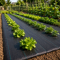 Toile de paillage hydrophobe pour l'agriculture, les fermes et les pépinières