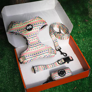 Gepersonaliseerde Ombre Hondentuig en -riemset met Neopreen, Polyester & Nylon, Gevoerd, Ecologisch, Modieus 2026 Design - Product Image 6