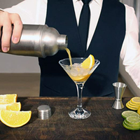 Ensemble de cocktails 750 ml, ensemble de shaker à cocktails avec jigger à bord roulé, verseurs, livre de recettes, 5 pièces, accessoire de bar à domicile, shaker à martini de 24 oz