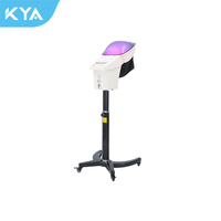 Appareil de soin capillaire portable moderne à micro-brume d'ozone, machine de traitement thermique électrique nano, vente en gros d'usine