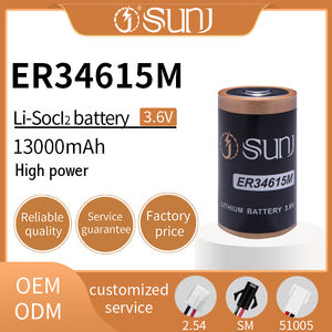 צפיפות אנרגיה גבוהה 13ah ללא נטענת re34615m קיבולת גדולה 3.6v עבור יישומי שלט רחוק - Product Image 5