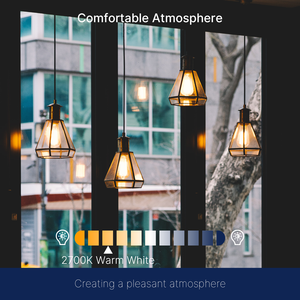 アンビエンスエレガントなバイブクリアガラスLEDエジソン電球ST58 4W 2700K非調光可能E27 470lm装飾電球 - Product Image 5