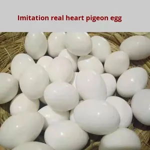 Duivenbenodigdheden Kunststof Kunstmatige Eieren Kooien Nestjes Ringen Ren Duivenkweek Vogelkweek Hulpmiddelen - Product Image 2