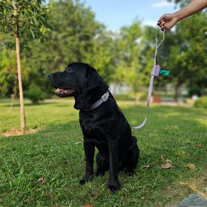 Factory Promotional Wholesale Available Dog Leash With Poop Bag Holder