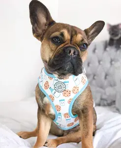 TOPBUDDY Perro Tirando Neopreno Arnés Perro <span class=keywords><strong>Collar</strong></span> y Correa Set Lujo - Product Image 6