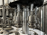 FAYGO UNION Pasteurise UHT Stérile Aseptique Machine de Remplissage de Jus de Fruits Ligne de Production d'Emballage Complet