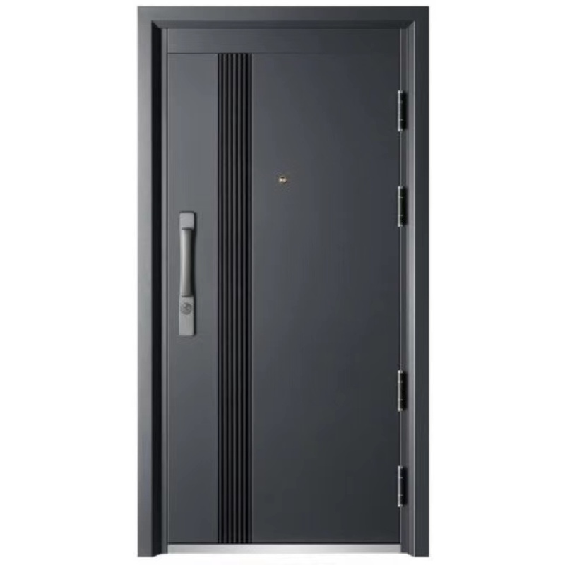 Modern Style Zinc Alloy Doors for