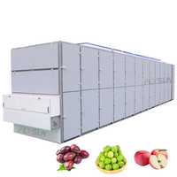 Séchoir à bande de qualité alimentaire, hermétique et anti-poussière, pour fruits et légumes, unité de séchage en tunnel pour la prune, la poire verte, les prunes et les pommes