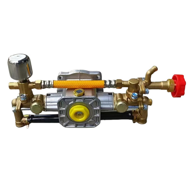 18-Type Double-Cylinder Handheld Motor Water Pump Head Assembly 220V Small Fruit Tree Sprayer 1.1KW Motor Power
