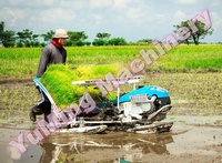 Planteur de riz de champ à haute efficacité 4 rangées de semence de riz de marche Machine transplanteuse 5 Hp ligne de production de moteur 3600 tr/min