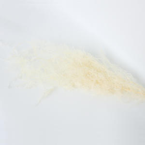 Asperges conservées fougère asperges stabilisées pour la décoration - Product Image 6