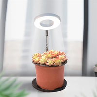 Lampe de culture LED Halo à hauteur réglable avec anneau lumineux et base de pot pour plantes d'intérieur