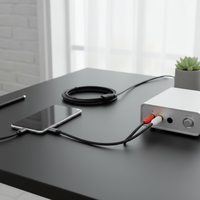 Câble audio USB Type-C vers double RCA avec âme en cuivre émaillé et gaine extérieure en PVC pour haut-parleur, amplificateur HDTV, lecteur DVD