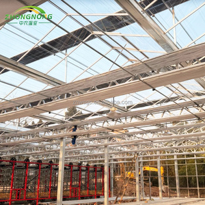 Serre tunnel monocouche multi-travées en PE avec structure en verre, kit complet d'équipement agricole - Product Image 3