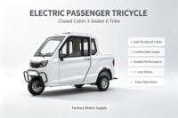 Tricycle Électrique 1000W Direct Usine, 3 Places, Buggy Passager et Cargo, Moteur Puissant 60V, Trike pour Transport Urbain