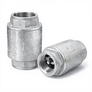 Válvula de Retención de Resorte SUS304 de 1" con Rosca NPT, Prevención de Reflujo con Clasificación de Presión PN16 y Sellado de PTFE para Tuberías de Sistemas de Agua - Product Image 1