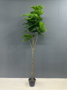 C811 Plante Artificielle Mini Palmier et Plastique Voyageur Basho Fan Plantes Bonsaï pour Décoration Intérieure - Product Image 6
