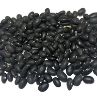 Soja noir sans OGM idéal pour la cuisson du lait de soja et des produits de santé