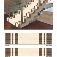 Carreaux de porcelaine Vistaar Matt Finish Step 120x30cm Riser 120x20cm antidérapants 11mm 4 pieds escalier bordure de marche céramique